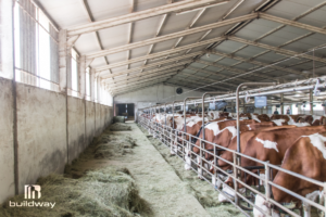 3 elementor io optimized 10