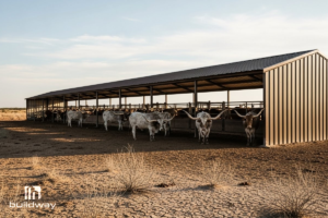 6 elementor io optimized 9