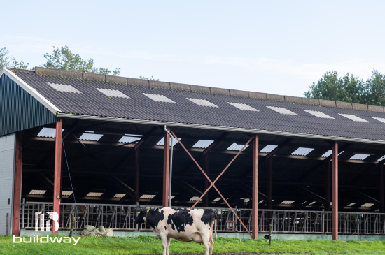 Column image 1 elementor io optimized 9