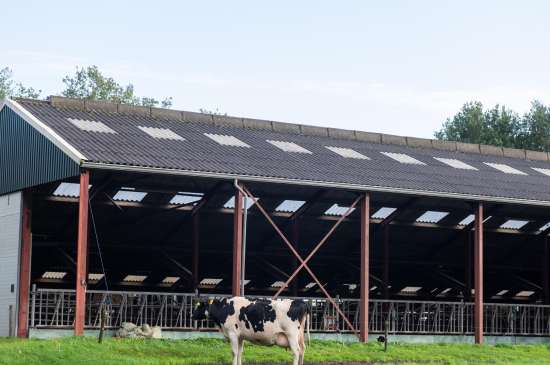 Column image 4 compressed