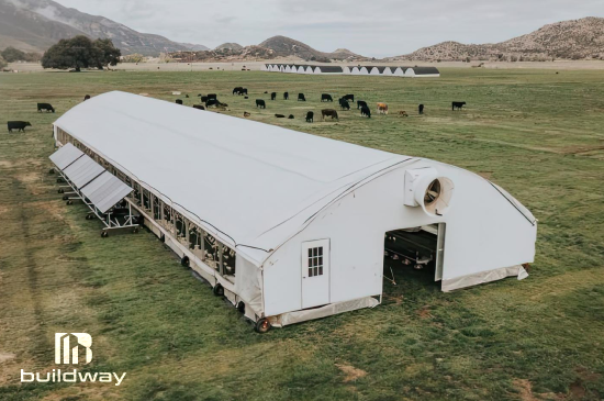 Column image 4 elementor io optimized